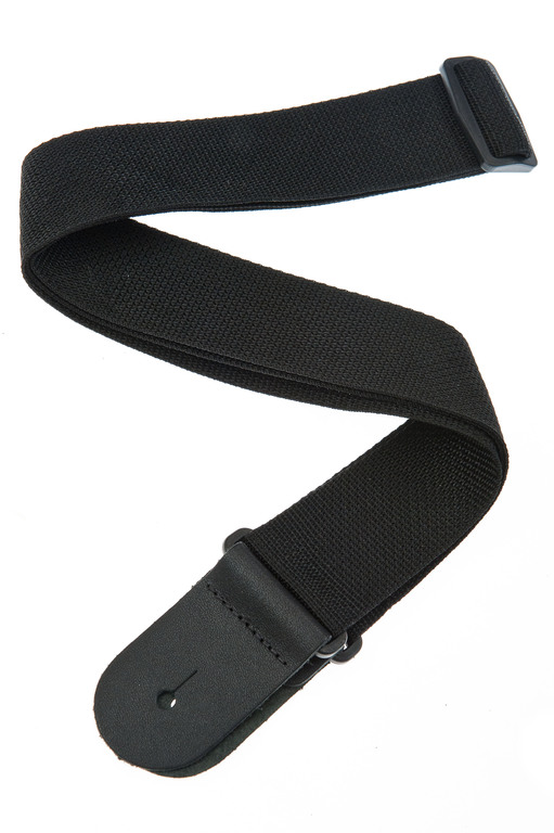 Planet Waves PWS100