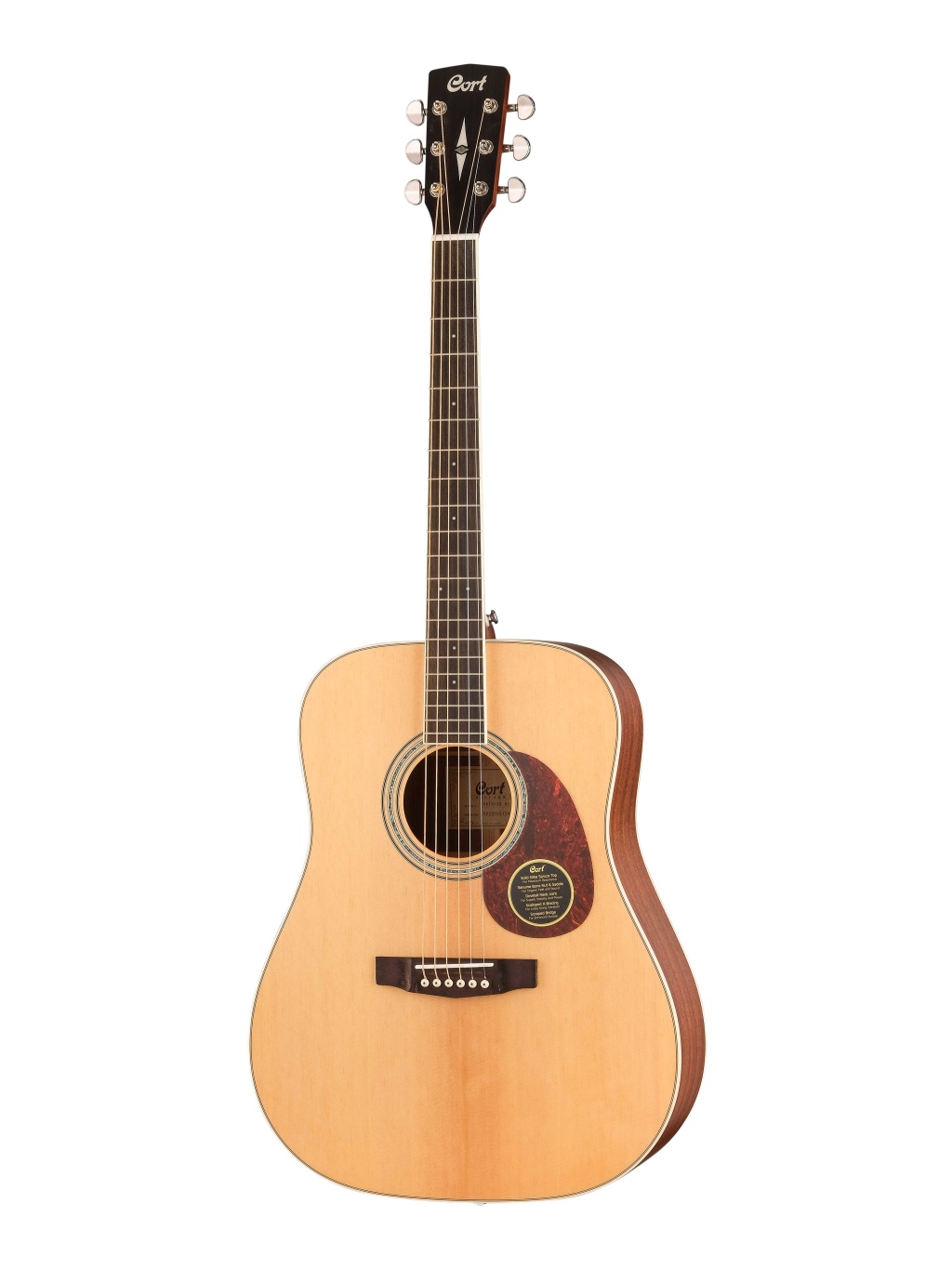 Cort EARTH100-NS